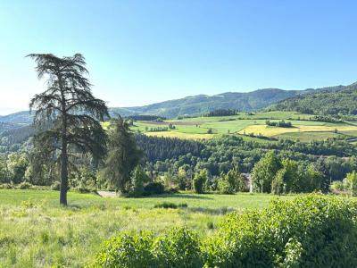 Acheter Terrain 972 m2 Bourg-argental