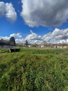 Acheter Terrain Couffy 65590 euros