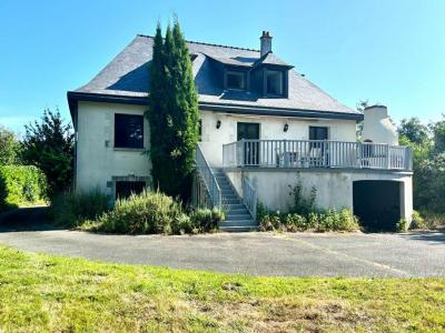 Acheter Maison 147 m2 Bohalle