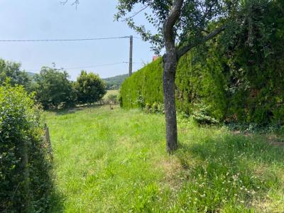 Annonce Vente 4 pices Maison Pollionnay 69