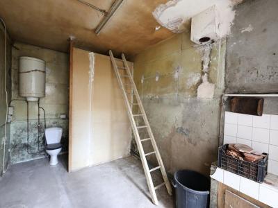 Annonce Vente 2 pices Maison Chatillon-coligny 45