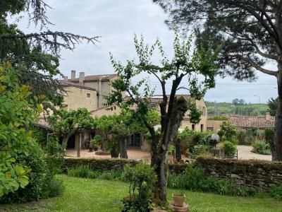 Acheter Prestige Saint-macaire Gironde