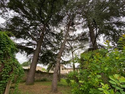 Acheter Prestige Saint-macaire 1554000 euros