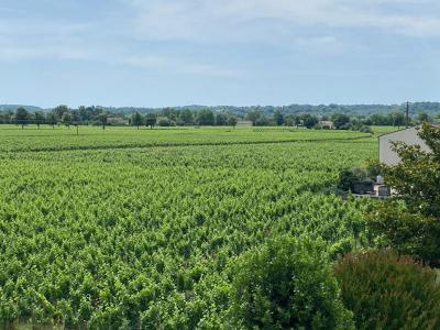 For sale Vignonet 6 rooms 280 m2 Gironde (33330) photo 3