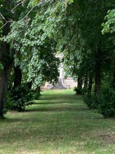For sale Montagne 1 room 2500 m2 Gironde (33570) photo 0