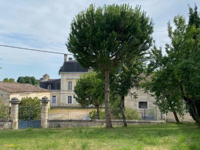 For sale Montagne 1 room 2500 m2 Gironde (33570) photo 2