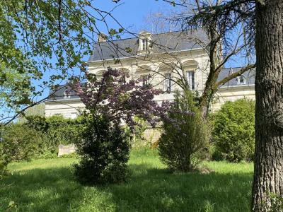 For sale Montagne 1 room 2500 m2 Gironde (33570) photo 4