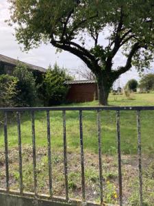Annonce Vente Terrain Manthelan 37