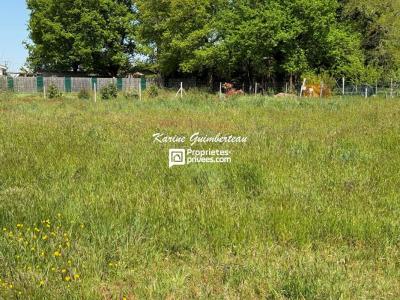 Annonce Vente Terrain Saint-denis-de-pile 33