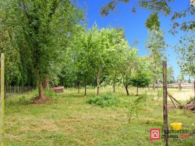 Acheter Maison Crecy-en-ponthieu 229900 euros