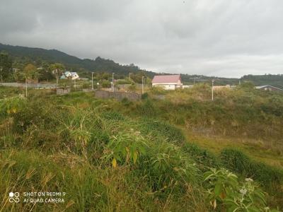 For sale Saint-leu 474 m2 Reunion (97424) photo 3