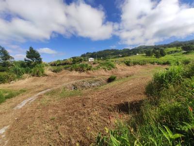 Annonce Vente Terrain Plate 974