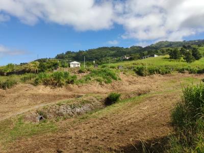 Acheter Terrain 790 m2 Plate