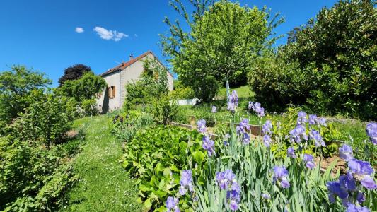 Acheter Maison 192 m2 Saint-jean-de-boeuf