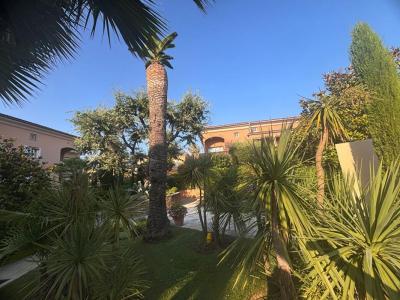 Annonce Vente 3 pices Appartement Saint-tropez 83