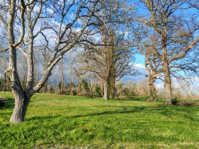 Annonce Vente Maison Dax 40