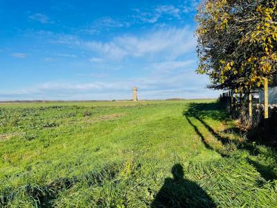 For sale Nogent-le-roi 1002 m2 Eure et loir (28210) photo 2