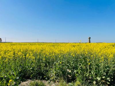 Annonce Vente Terrain Houdan 78