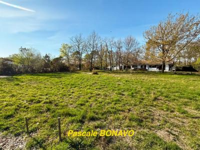 Annonce Vente Terrain Hourtin 33