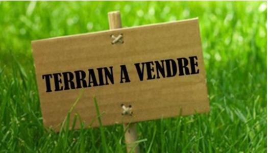 Annonce Vente Terrain Eglisottes-et-chalaures 33