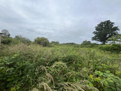 Annonce Vente Terrain Romorantin-lanthenay 41