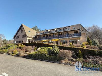 For sale Bellefosse 3 rooms 49 m2 Bas rhin (67130) photo 0