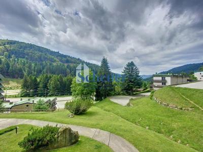 For sale La-bresse 1 room 32 m2 Vosges (88250) photo 1