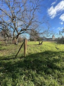 Annonce Vente Terrain Lalande-de-pomerol 33