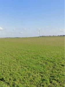 Acheter Terrain 525 m2 Ballon