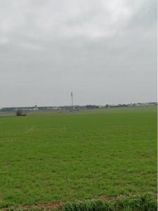 For sale Ardillieres 422 m2 Charente maritime (17290) photo 0