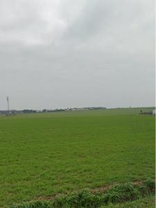Annonce Vente Terrain Ardillieres 17