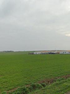 Acheter Terrain 422 m2 Ardillieres