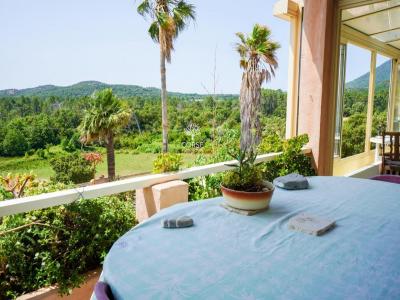 For sale Porto-vecchio 9 rooms 250 m2 Corse (20137) photo 3