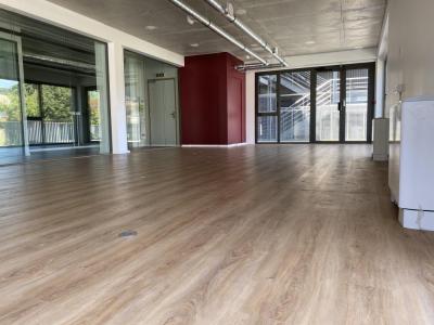 Annonce Vente Local commercial Allonzier-la-caille 74