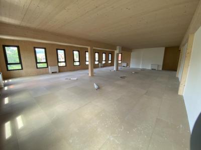 Acheter Bureau Allonzier-la-caille Haute savoie