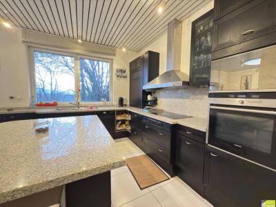 Acheter Maison Brunstatt 1100000 euros