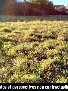 For sale Chaize-le-vicomte 112 m2 Vendee (85310) photo 1
