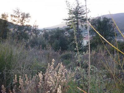 For sale Amelie-les-bains 445 m2 Pyrenees orientales (66110) photo 2