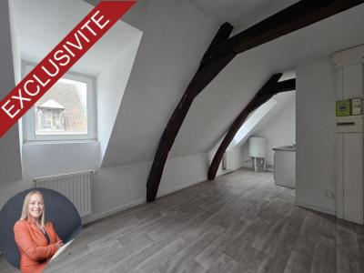 For sale Conde-sur-l'escaut 230 m2 Nord (59163) photo 2