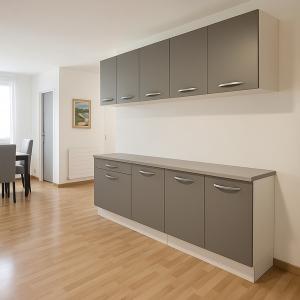 Annonce Location 3 pices Appartement Seyssins 38