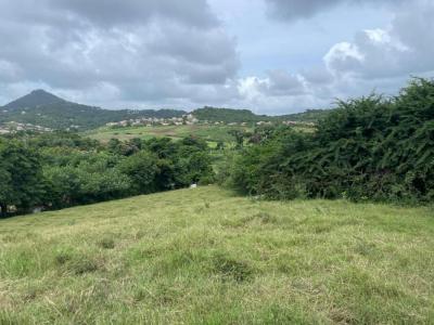 Annonce Vente Terrain Vauclin 972
