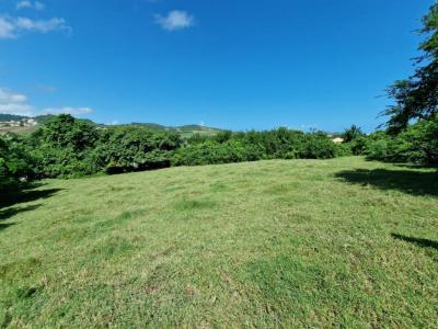 Acheter Terrain 16341 m2 Vauclin