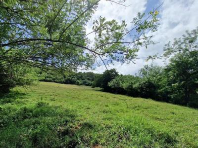 Acheter Terrain Vauclin Martinique