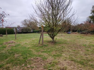 For sale Landebia 7 rooms 124 m2 Cotes d'armor (22130) photo 2