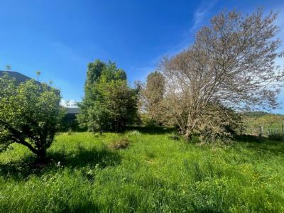 Annonce Vente Maison Cailloux-sur-fontaines 69
