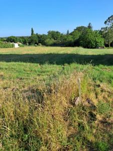 Annonce Vente Terrain Campeneac 56