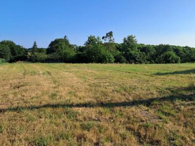 Acheter Terrain 981 m2 Campeneac