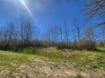 Annonce Vente Terrain Castelnau-de-medoc 33