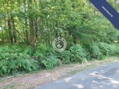 Acheter Terrain 4033 m2 Coulounieix-chamiers