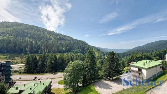 For sale La-bresse 1 room 30 m2 Vosges (88250) photo 0